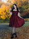 Wine Red 1950s Skull Mesh Swing Dress