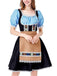 2PCS Blue 1950s Oktoberfest Gingham Puff Lace Dress with Apron