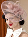 Feather Fascinator Hat With Veil