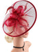 Feather Fascinator Hat With Veil