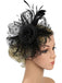 Vintage Feather Polka Dots Mesh Bead Headpiece